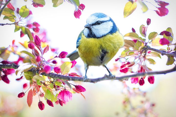 Frases Sobre La Primavera Para Facebook Frases Bonitas De La