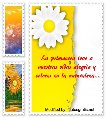 Frases Sobre La Primavera Para Facebook Frases Bonitas De La