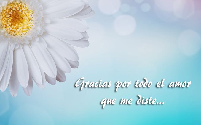 Frases de agradecimiento para mi ex novio | Mensajes para ex amor -  