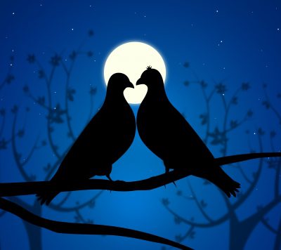 Top Mensajes De Buenas Noches Para Mi Novia | Mensajes romànticos - Top Mensajes De Buenas Noches Para Mi Novia | Mensajes romànticos -