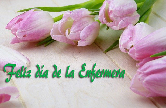 Frases por el Día de la Enfermera | Felicitaciones Día de la Enfermera